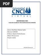 Proyecto Modular Microeconomia