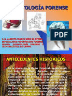 Odontologia Forense