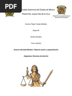 PI. Trabajo Individual .Reporte Escrito y Argumentación