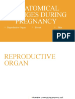 Anatomical Changes During Pregnancy