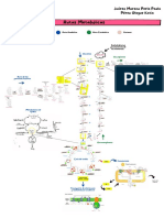 Rutas Metabólicas Integración