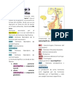 Resumen Examen de Fisiopato