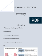 IKD 2 - Imaging Renal Infection