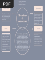 3348 - Mecanismo de Acomodación