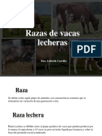 Razas de Vacas Lecheras