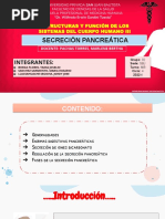 Secreción Pancreática