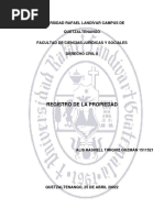 Del Registro de La Propiedad