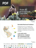 Session 15 4 Audubon Rutas Aviturismo Colombia