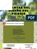 Plantas Del Diseño Del Paisaje