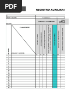 Registro Auxiliar - PERSONAL SOCIAL