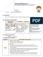 Sesion Como Funciona El Sistema Respiratorio