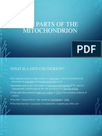 The Parts of The Mitochondrion