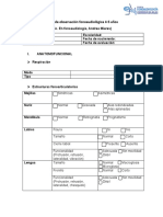 Pauta de Observación Fonoaudiológica 4