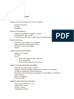 Resumen de Lesión Celular, Muerte Celular, Inflamación, Acumulaciones Intracelulares.