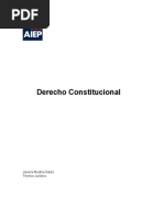 Derecho Constitucional Javiera