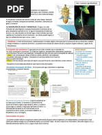 La Nutricion Vegetal