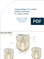 Abdomen Les Coupes Axiales-1