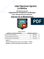 Informe Metabolismo (Biología General) - UNALM