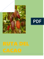 Diseño de Recorrido Turistico Ruta Del Cacao