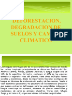 Deforestacion Degradacion de Suelos y Cambio Climatico 11