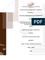 Pension de Sobreviviente - Ley 19990 Pension de Viudez Ley 19990-Derecho de La Seguridad Social