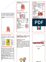 Sistema Circulatorio