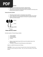 EXCRETION Notes