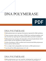 Dna Polymerase