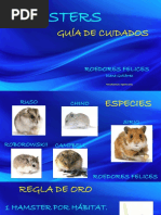 Guía de Cuidados Hamsters ROEDORES FELICES