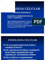 Fisiologia Celular