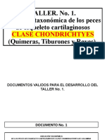 Explicación Taller No 1 Peces Cartilaginosos PDF