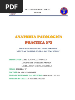 18 de MAYO Informe de Anatomia Patologica