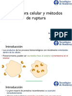 P - AD19 - BT3010 - Estructura Celular y Métodos de Ruptura