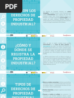 D. Propiedad Industrial