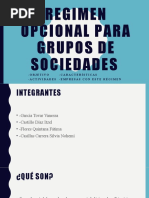 REGIMEN OPCIONAL PARA GRUPOS DE SOCIEDADES 5Ñ Equipo3