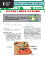 Sistema Respiratorio para Segundo Grado de Secundaria - pdf.FYA