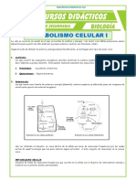 El Metabolismo Celular para Quinto de Secundaria