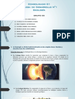 Consolidado 1 Geologia G3