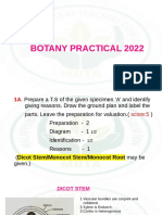 Botany Practical 2022new