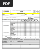 Formato Inspeccion Preoperacional Apisonador o Compactador Tipo Canguro