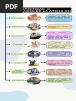Atención - Tipos y Propiedades