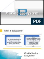 Marine Ecosystem