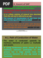 4.4 Ascent of Sap and Theories