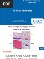 Sesión 11 - Biología Celular