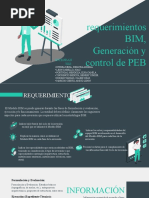 Requerimientos Bim y Generacion de Control PEB