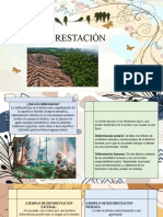 La Deforestacion CC - Ss.