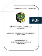 Juklak Kapasitas Kelembagaan (Pengembangan Kapasitas)