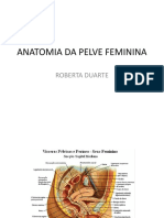 Anatomia Da Pelve Feminina