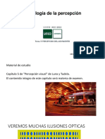 Tema - 5 - Percepcion - Del - Movimiento - Subir A Plataforma