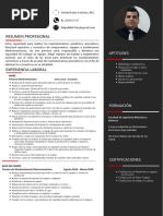 CV - Luis Felipe Martinez Ortiz